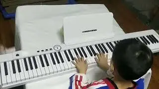 #keyboard piano#   88 Key Digital Piano Keyboard Folding with Full Size