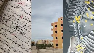 ​