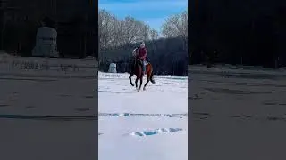 HIS LEAD CHANGE! 🤭 #horsegirls #horse #equestrianjourney #equestrian #tb #bareback #snow #winter
