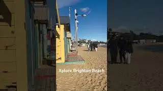Beautiful Beach House#shortvideo