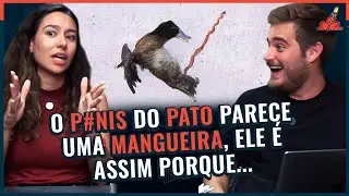 A EVOLUÇÃO foi LONGE DEMAIS NESSE CASO
