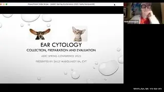 Veterinary Ear Cytology Review &ndash; Sample collection, preparation and microscopic findings