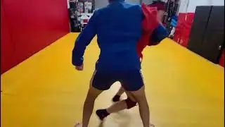 Sambo Throws