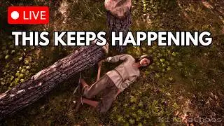 Medieval Dynasty Live | I Did Not Learn My Lesson