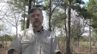 Nuisance Wildlife in Georgia