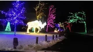 Amazing Night Drive in Niagara Falls, ON., CA. 12/16/25 @reensvlog888