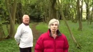 Visiting Ranmore Common