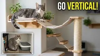 Маленькая квартира? 9 способов сделать кошку счастливой (даже в квартире площадью 400 кв. футов!)