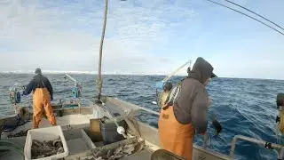 A Swell Day Out - Jigging Season 2022 Begins!
