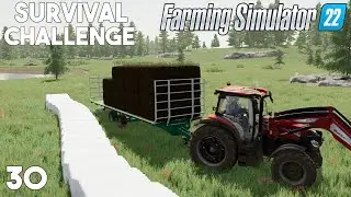 The Silage Is Ready! WE MADE BIG MONEY!! | Survival Challenge | Farming Simulator 22 - Ep30