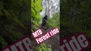 MTB Forest Ride