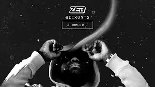 Zed - J'banalise (Visualizer)