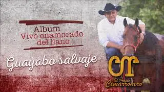 Guayabo Salvaje - Carlos Rico - Audio