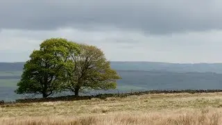 Penhill & West Witton, Yorkshire Dales - 13 May 2017