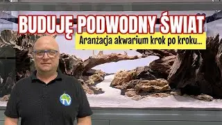 КОНКУРСНЫЙ АКВАРИУМ IAPLC 2025 &ndash; Как был создан мой хардскейп для этого аквариума