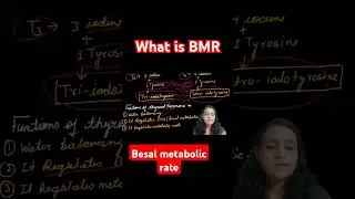 BMR..#education #study #biologics #shorts #shortvideo #ytshorts #youtubeshorts #ytviral