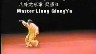 Bagua Dragon palm