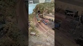 Dapol N Gauge Class 50 with Hornby HM7000 DCC sound Decoder