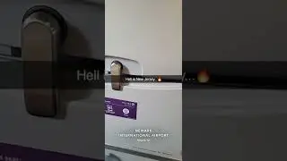 United flight nightmare