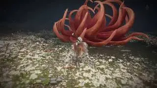 Elden Ring Halig Tree Malenia