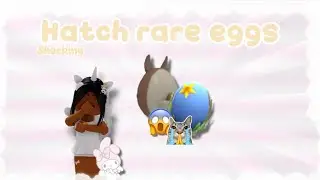 Hatching a RARE Egg in Adopt Me 😳✨ | What Did I Get?!