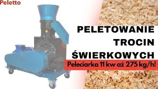Produkcja pellet z trocin aż 275 kg w godzinę! Peleciarka PELETON-200 11 kW od Peletto.pl