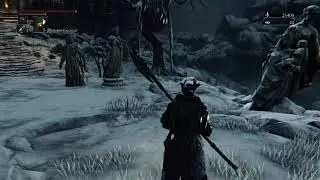 Bloodborne - Walkthrough (No Commentary) - Part 36 - A Lot of Bloodsucking Beasts