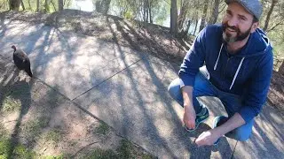 River walk at Lane Cove National Park, Sydney NSW Australia