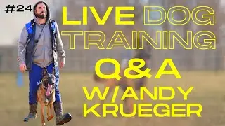 A Tired Dog Is NOT A Happy Dog! DOG TRAINING Q&A W/ ANDY KRUEGER #24