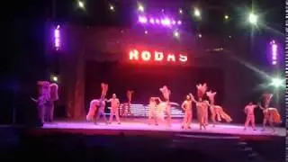 Circo Rodas