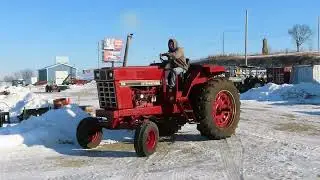 1981 INTERNATIONAL 786 For Sale