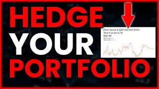 How To Hedge Your Portfolio Trading THESE Options 🔥