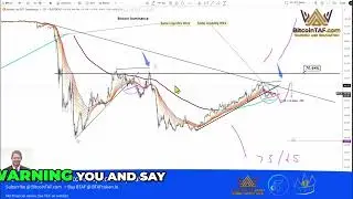 Altcoins Ready to Explode! Bitcoin Dominance Signal