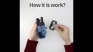 3300Ft Dog Training Collar with Remote Rechargeable Waterproof E Colla