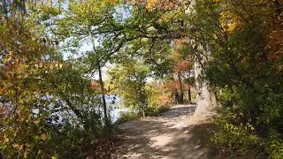 Autumn Foliage, Virtual Tour Ep. III | Heart Lake Conservation Area [4K]
