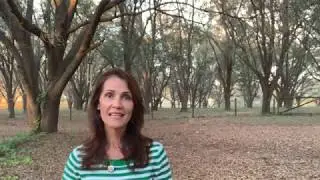 Oregano Essential Oil vs Oil of Oregano