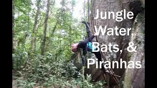 Jungle Day 3: Bats, Jungle Water, and Pirahnas