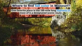 Watch now: Where to find fall color in Missouri?
