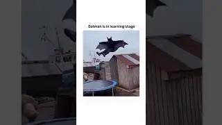 🤣 Batman's Secret Training for Flight (Wait for the fail!)🤣 #shorts #trending #funny #batman