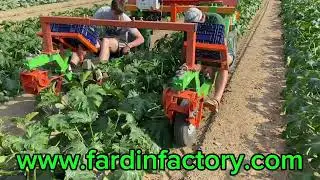 Agevolatrice elettrica FAR GREEN MULTIS