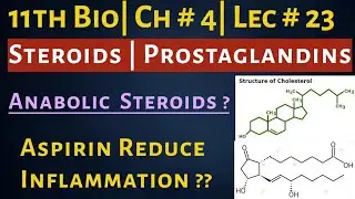 Steroids: Cholesterol | Draw Prostaglandins Structure| Anabolic Steroids| 11th Bio| Ch # 4| Lec # 23