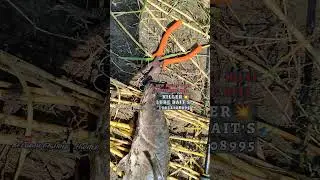 Fishing Material available//Fish Catching rod reel set for Snakehead #fishing #karnataka