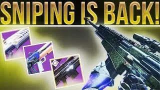 Destiny 2. BEST WEAPONS! Silicon Neuroma Sniper Review & The Best Pulse Rifles For PvE/PvP! 1.1.4