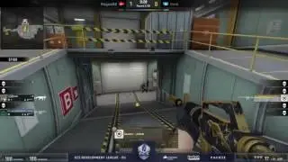 Gambit.AdreN Incredible ACE vs RogueGG (with 1vs3 clutch) 🏆 ECS Season 3 CS GO