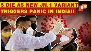Covid-19 Fears Return: India Sees 5 Deaths & 335 Cases In 24 Hrs, New JN.1 Variant Triggers Panic