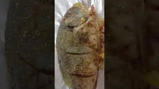 Stuff fish#ytshorts#jamaica#vegetables#love#roast#uk#caribbean#america#seafood#africa#trinidad#food