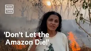 More Than 75,000 Fires Burned in Brazil's Amazon Rainforest