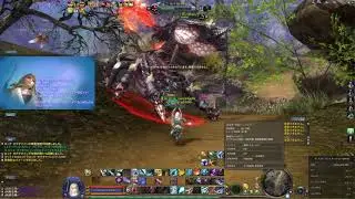 Aion エレスギガル Geforce 457.09 動作検証