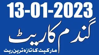 Today Wheat New Price 2023 Updated | Today Gandum Latest Rates of Punjab Pakistan |Wheat Price Today
