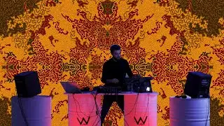 Pachenco & The Bloody Wasp | Art & Techno at White Lab Madrid